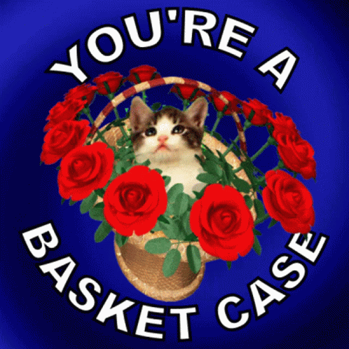Youre A Basket Case Useless GIF - Youre A Basket Case Useless Unable To Cope GIFs