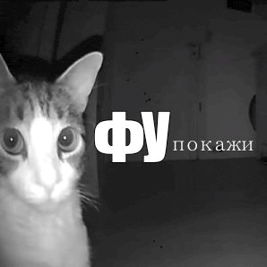 a black and white photo of a cat in front of a sign that says " fu "