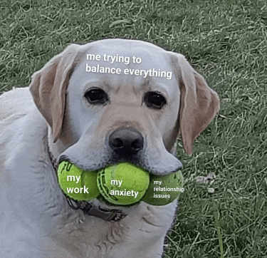a dog with tennis balls in its mouth says me trying to balance everything my work my anxiety and my relationship issues