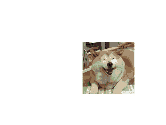 a drawing of a dog with the words " this is so sad " written above it