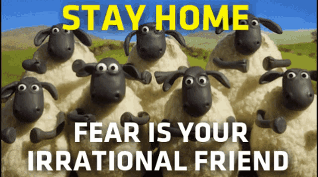 a group of cartoon sheep with the words stay home fear is your irrational friend