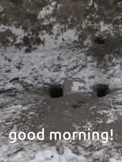 a picture of a snowy area with the words good morning written on it