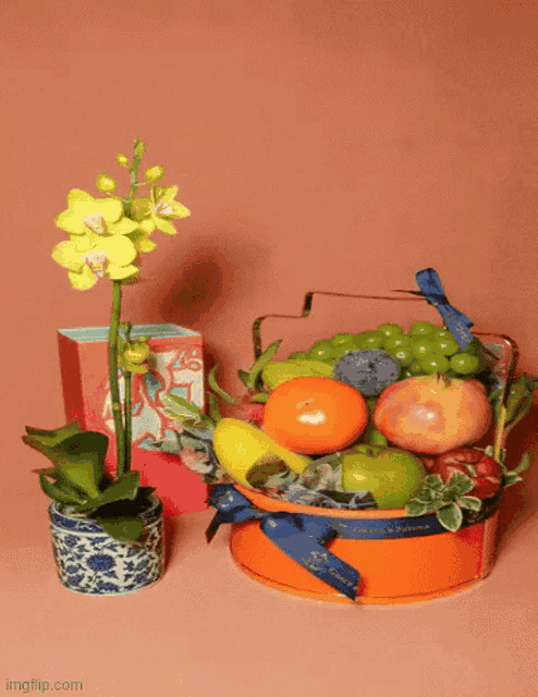 a basket of fruit sits next to a small potted plant