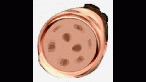Omegalul Omegalul Cookie GIF - Omegalul Lul Omegalul Cookie GIFs