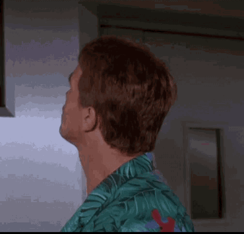 Arnold Schwarzenneger GIF - Arnold Schwarzenneger GIFs