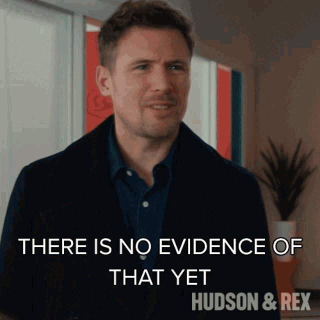 There Is No Evidence Of That Yet Charlie Hudson GIF - There Is No Evidence Of That Yet Charlie Hudson Hudson And Rex GIFs