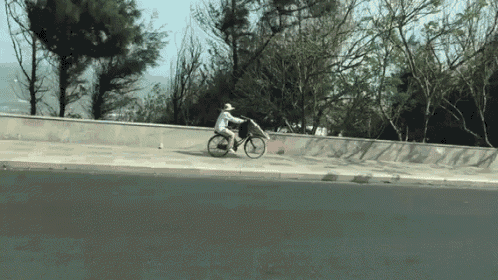 Vuha GIF - Driving Street View GIFs