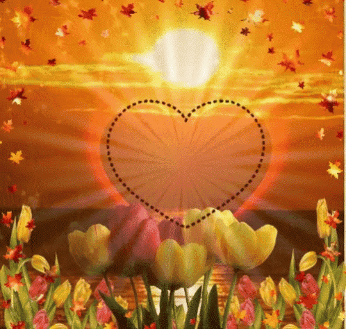 a heart in the middle of a field of tulips