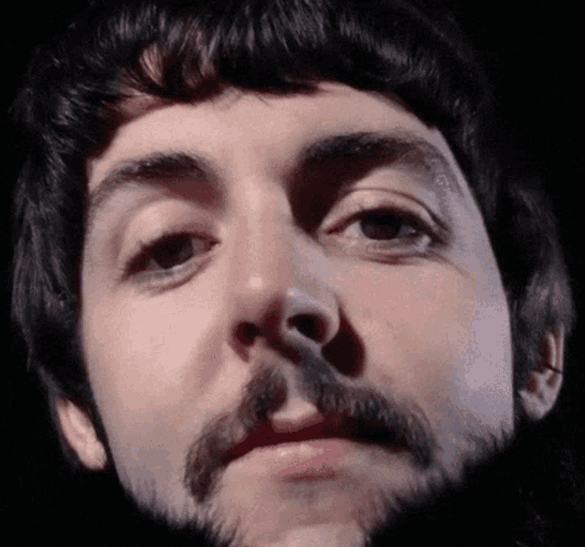 a close up of a man with a beard and mustache