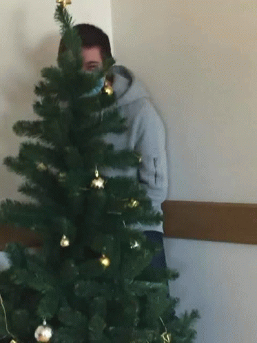 Hide Suspicious GIF - Hide Suspicious Christmas Tree GIFs