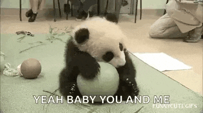 a baby panda bear is sitting on top of a ball .