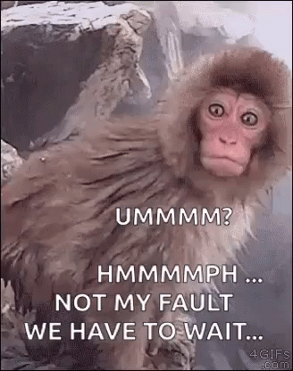 Monkey Not My Fault GIF - Monkey Not My Fault We Have To Wait GIFs