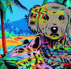 Puppies Fox GIF - Puppies Fox Glitch Art GIFs