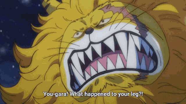 a cartoon of a lion with its mouth open and the words " you-gara what happened to your leg " below it