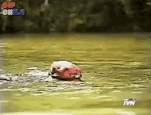 a gif of a person swimming in a body of water with the word chile on the top