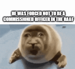 a seal with a caption that reads `` he was forced not to be a commissioned officer in the raf ''