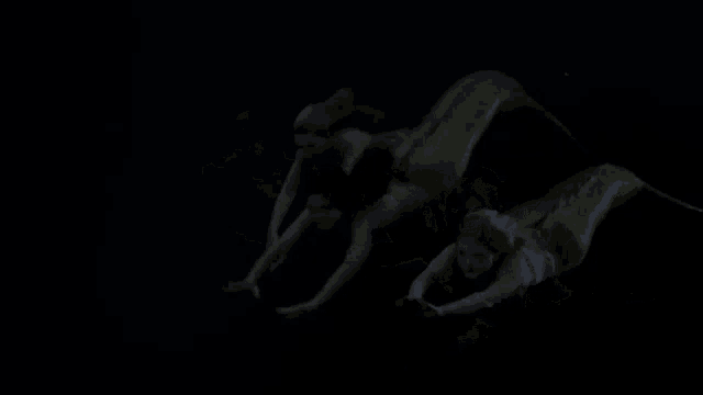 a group of mermaids are swimming in the dark water .