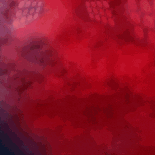 a bunch of balloons on a red background with the word love written on it