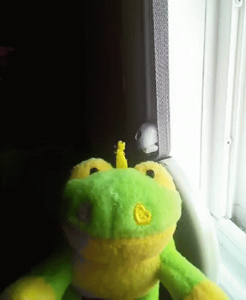 Frog Stuffed GIF - Frog Stuffed Toy GIFs