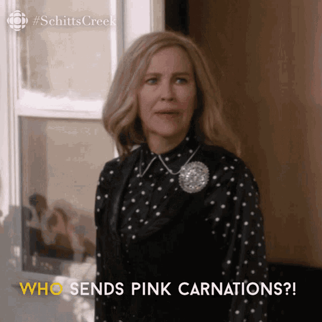a woman in a black and white polka dot shirt is standing in front of a window and says " who sends pink carnations "