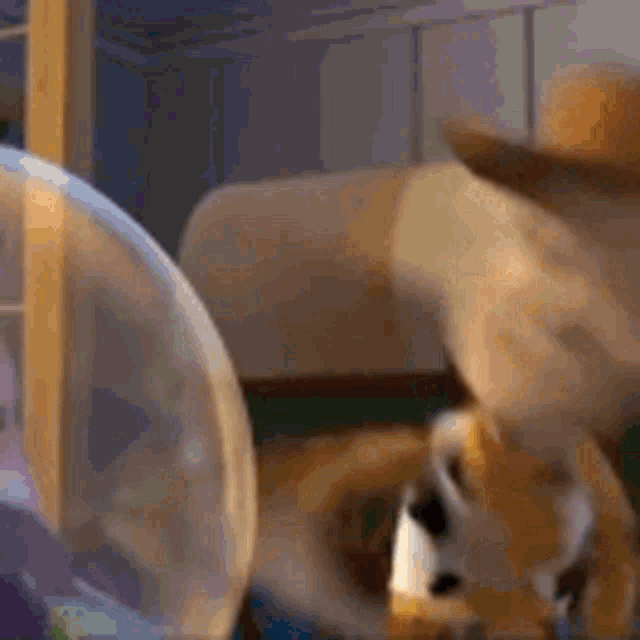 Woody Toy Story Laughing GIF - Woody Toy Story Laughing GIFs
