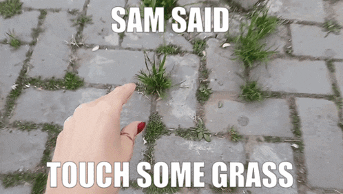 a woman 's hand pointing at some grass with the words sam said touch some grass below it