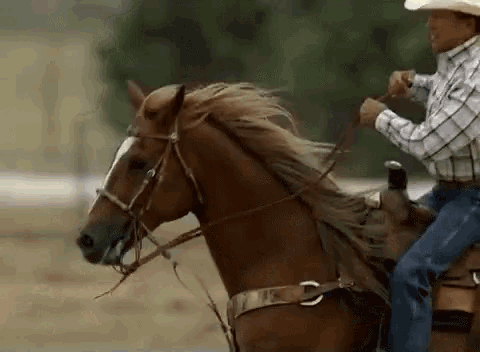 a man in a cowboy hat is riding on the back of a brown horse .
