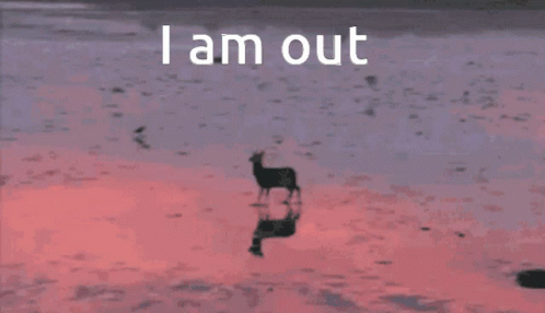 I Am Out Disappear GIF - I Am Out Disappear Jump GIFs
