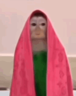 a monkey is wrapped in a pink towel and wearing a white mask .