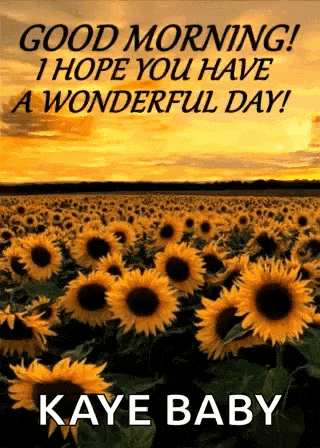 a picture of a field of sunflowers with the words `` good morning ! i hope you have a wonderful day ! ``