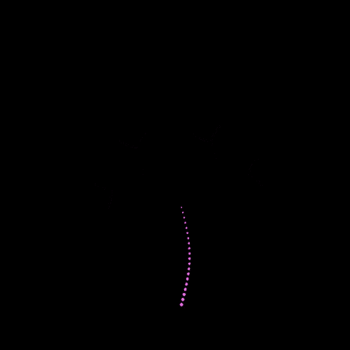 a tree with pink leaves and branches on a black background