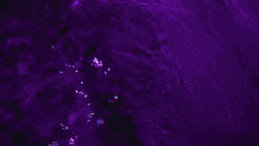 a purple background with a white circle on it