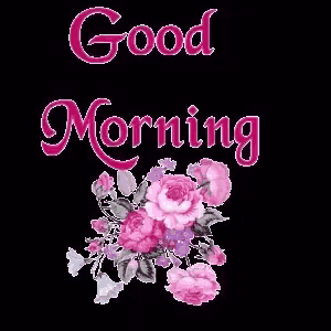 a bouquet of pink and purple roses with the words good morning on a black background