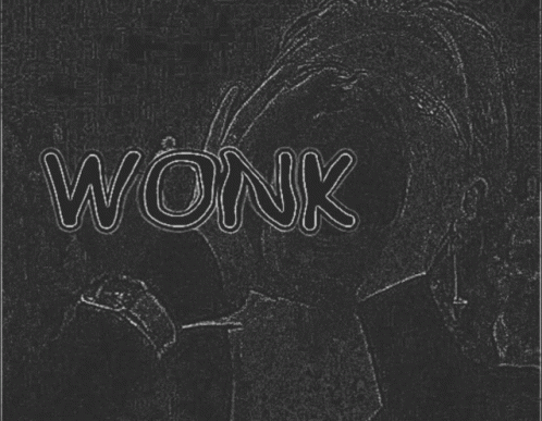 Wonk Wonkk GIF