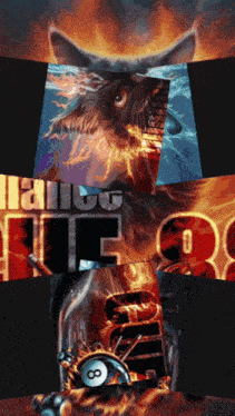 a collage of images including one that says ' malibu life '