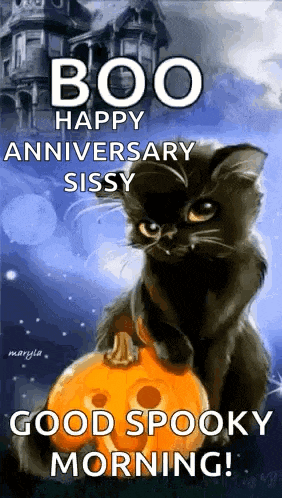 a black cat is sitting on top of a pumpkin with the words `` boo happy anniversary sissy good spooky morning ! ''