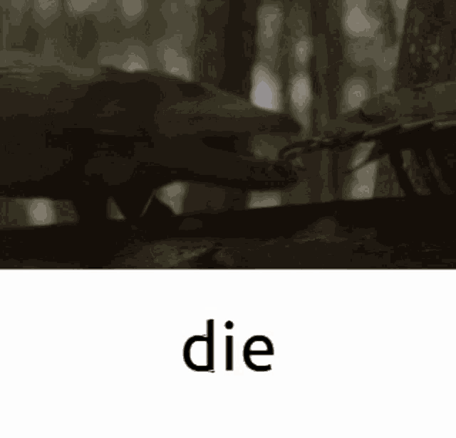 a black and white photo of a bird and the word die below it