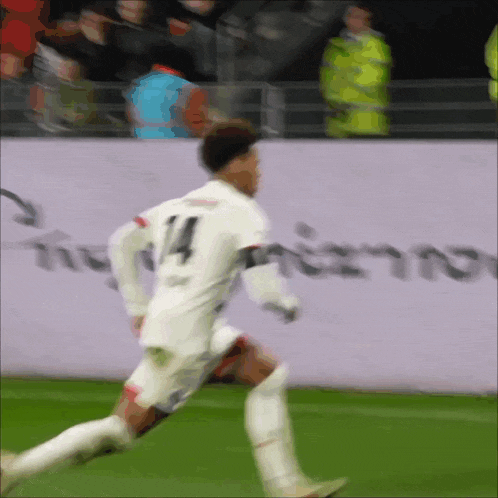 a soccer player with the number 14 on his shirt is running on the field