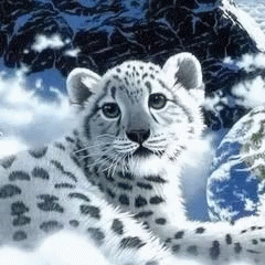 Tiger Snow Tiger GIF - Tiger Snow Tiger GIFs