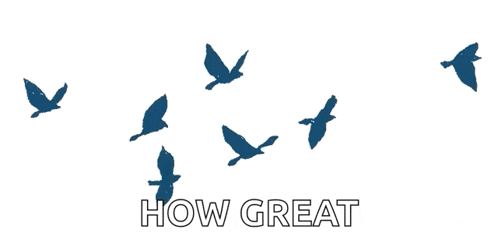 a flock of birds are flying in the air with the words how great below them