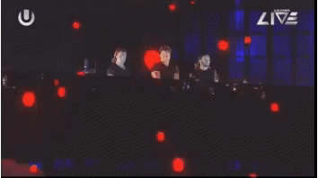 Axwell Tomorrowland GIF - Axwell Tomorrowland Sebastian Ingrosso GIFs