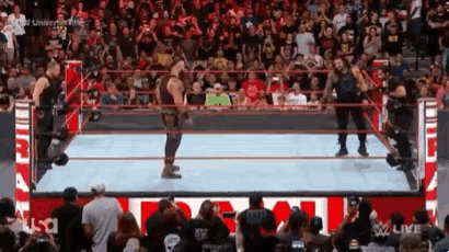 two wrestlers are standing in a wrestling ring surrounded by fans .