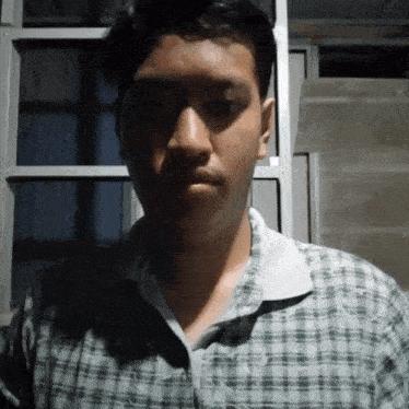 a young man wearing a plaid shirt looks at the camera