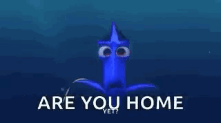 Dory Areyouthere GIF - Dory Areyouthere Youhome GIFs