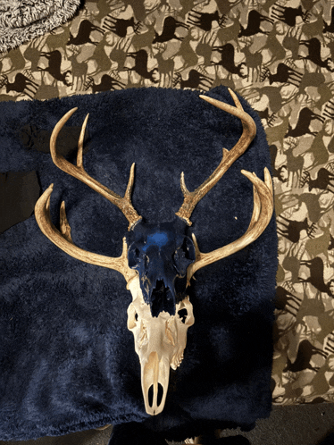 a deer skull is laying on a blanket with a pattern of deer on it