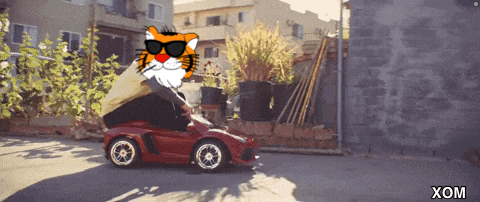 a cartoon of a cat wearing sunglasses is driving a toy car