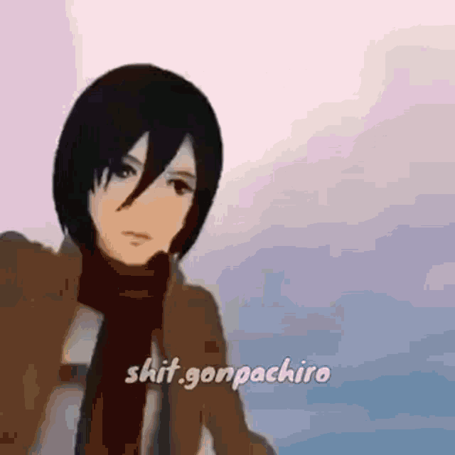 mikasa ackerman from attack on titan is wearing a scarf around her neck and a brown jacket .