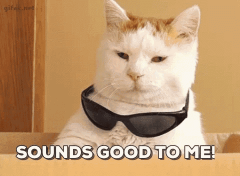 a cat wearing sunglasses with the words sounds good to me behind it