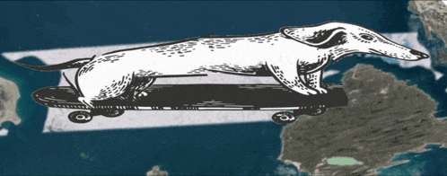 a drawing of a dog on a skateboard