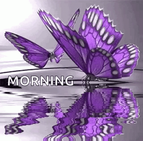 Morning Butterflies GIF - Morning Butterflies Greetings GIFs